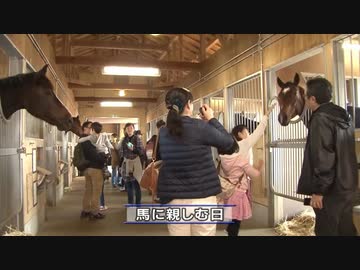 美浦トレーニング・センターが行うファンサ－ビス