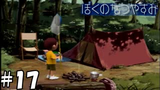 野営スキルを体得する絶好のチャンスですな【ぼくのなつやすみ】#17（8月17日）