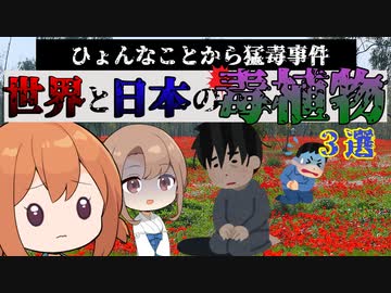 思いがけない事件！世界と日本の猛毒植物3選【VOICEROID解説】