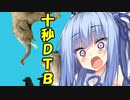 【10秒動画祭】葵ちゃんの十秒DTB！