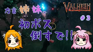 【姉妹実況】＃3 骸骨ダンジョン＆初ボス「エイクスュル」編【ヴァルヘイム】
