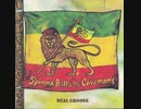 Spinna B-ill & The Cavemans - ライオンの子 -REAL GROOVE＜完全限定生産盤＞ (LP)