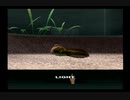 あの生物と同居生活始めました。【シーマン～禁断のペット】実況プレイ。15日目