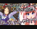 サイレンスススカのバストの話と、マーベラスサンデーのバスｔ・・・ツインテール？について話す千羽黒乃