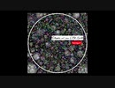 Kanoguti - Story of the Life Cycle