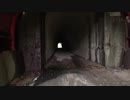 【心霊スポット】頭川トンネル【昼】