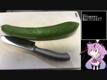 珍食材が食べたい！#15　ヘチマのチャンプルー