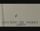 スケスト（怖い話の配信）　アーカイブpart38&9　(2021/8/15放送)