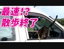 2021/08/16放送※ぷちカット編集版【136日目 北海道 網走郡 早朝 あずにゃんぽ（猫散歩）】北海道全市町村制覇するまで帰れまてん！　猫と車中泊の旅　日本縦断【旅猫あずき～保護猫から旅猫へ～】