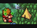 毒danの戦士#6【FF1】深里の戦士たち