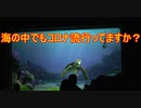 海の中でもコロナ流行ってますか？【タートルトーク】東京ディズニーシー