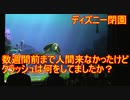 【ディズニー閉園】数週間前まで人間来なかったけどクラッシュは何をしてましたか？【タートルトーク】東京ディズニーシー
