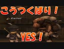 【FF11】主婦のまったり放浪記【復帰組】