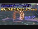 【ポケモン剣盾】平等院鳳凰堂【ダブルバトル】