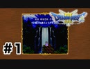 【初見】最初の診断が怖いくらい当たりすぎている【ドラクエ3】＃1