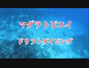 ドリフトダイビング沖縄・慶良間諸島(自津留)