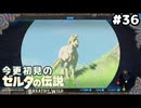 【ゼルダの伝説ブレスオブザワイルド】あれこれ白馬じゃね？【実況プレイ】#36