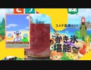 【あつまれ どうぶつの森】　コメダ島再訪幕　リニューアルしたコメダ島でかき氷堪能しようとしたらまさかの事態に……
