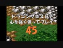 ドラゴンクエスト7 心を強く保ってプレイ: 45