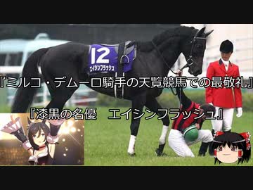 【競馬】ゆっくりさんと未来に語り継ぎたい名馬たち その041【ゆっくり朗読】