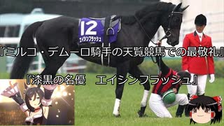 【競馬】ゆっくりさんと未来に語り継ぎたい名馬たち その041【ゆっくり朗読】