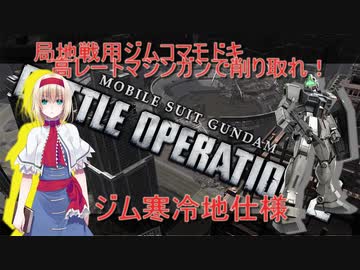 アリス・マーガトロイドのローカロリーバトオペ2　寒ジム編