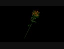 【弟切草】黄色い花の伝説《100分間耐久》