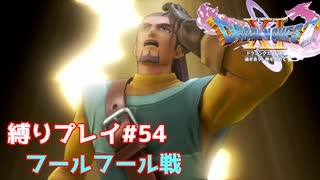 恐ろしくギリギリの戦い　俺じゃなきゃ逃げ出しちゃうね【ドラゴンクエスト11S】縛り初見プレイ＃54