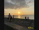 （写真）MoShow_Videoで沖縄風景