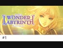 #1 初見プレイなメトロイドヴァニア系ロードス島戦記【ロードス島戦記 -Deedlit in Wonder Labyrinth (ディードリット・イン・ワンダーラビリンス)-】