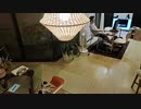 家族で時事放談ｗ　341日　【大島てる】事故物件【松原タニシ】