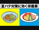 夏バテ対策に効果的な栄養素とお勧めの食べ物【ビーレジェンド プロテイン】