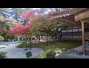 続・五月雨（さつきあめ）の怖い話　第15話　大きな目玉