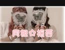 【踊ってみた】 同担☆拒否 【はねまゆ】