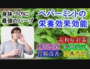 【身体づくりに最強のハーブ】ペパーミントの栄養効果効能【#花粉症対策 #美肌効果 #精神安定 #胃腸改善 #口臭予防】