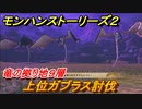 モンハンストーリーズ２　上位ガブラス討伐　竜の拠り地９層　＃３３８【モンスターハンター ストーリーズ２ ～破滅の翼～】