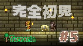 【女性実況】友人と大学最後の夏休みをエンジョイ#5【terraria テラリア】