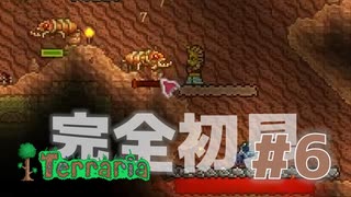 【女性実況】友人と大学最後の夏休みをエンジョイ#6【terraria テラリア】