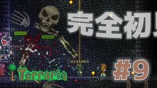 【女性実況】友人と大学最後の夏休みをエンジョイ#9【terraria テラリア】