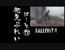 【fallout4】五年前に買ったゲームを今更ながら初見プレイ【part17】