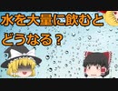 【ゆっくり解説】　水中毒について解説するよ　#8サクッと疾患解説