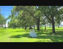 【ちゃすけ】夏恋花火【踊ってみた】
