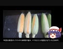 ゆっくり農民166トウモロコシを育ててみませんか？#13