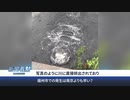 地獄の中国・汚物を川に垂れ流し ＃中国ウイルス ＃武漢肺炎 ＃新型コロナ ＃COVID-19 ＃ロックダウン ＃都市封鎖