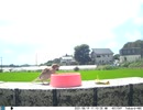 トレイルカメラで雀撮ってみた　20210819