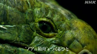 札幌市円山動物園 動物専門員 本田直也さんが語る生命観 “ノアの箱舟”をつくる人