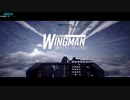 Project Wingman RTA NG+ 2:23:35.33