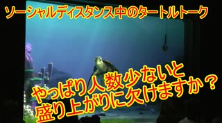 人気の タートルトーク 動画 366本 ニコニコ動画
