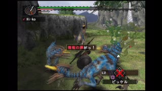 「MH」(無印）を仕事の合間に実況プレイPart3【村★3飛竜の卵、回収作戦！／村★3幻のキモを追え！】