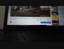 街宣動画に集団で低評価を付けるネットストーカー（アンチ、馴れ合い厨）達へ、ネットリンチや動物虐待反対を社会に訴える行為の何が悪いのですか？